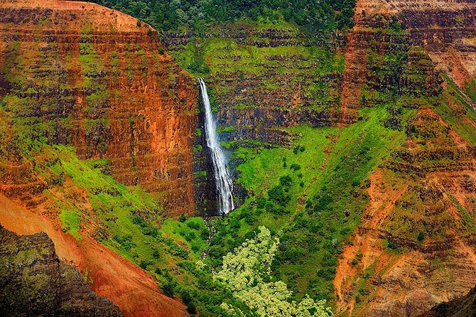 Kauai Waimea Canyon and Kokee Tour With Lunch