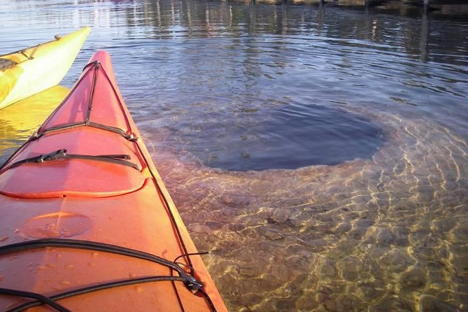 Kayak Day Paddle on Yellowstone Lake