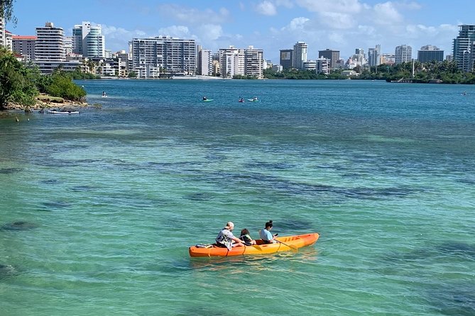 Kayak Rental Equipment at Condado Lagoon