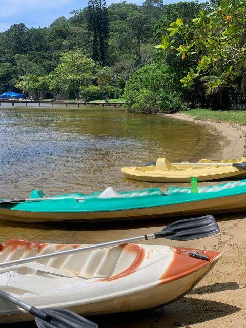 Kayak Tour – Animal Viewing, Swimming and Secret Beach