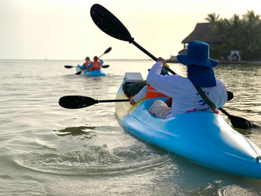 Kayak Tour Through Holbox Mangroves