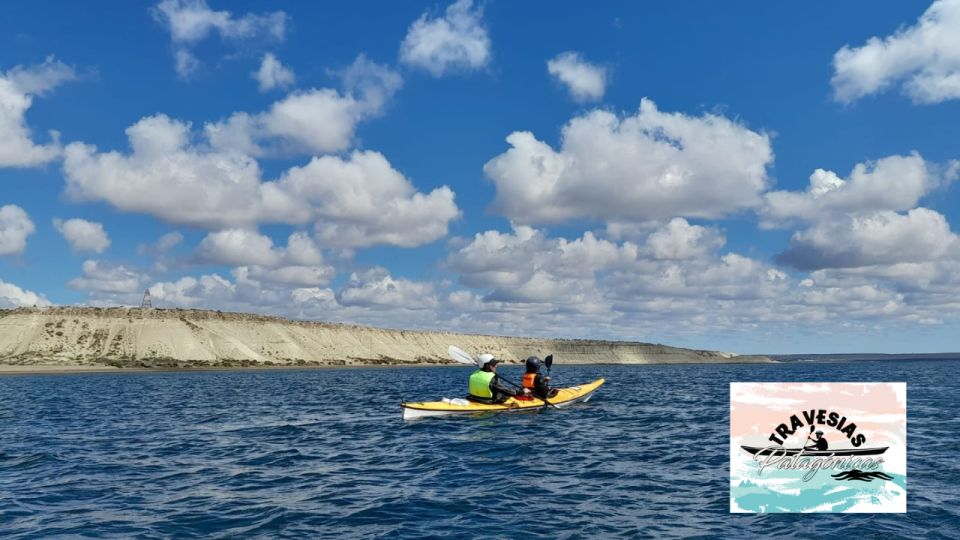 Kayaking Adventure in Puerto Madryn