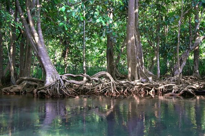 Kayaking in Ao Thalane - Discover the Mangrove Life - Overview of Ao Thalane