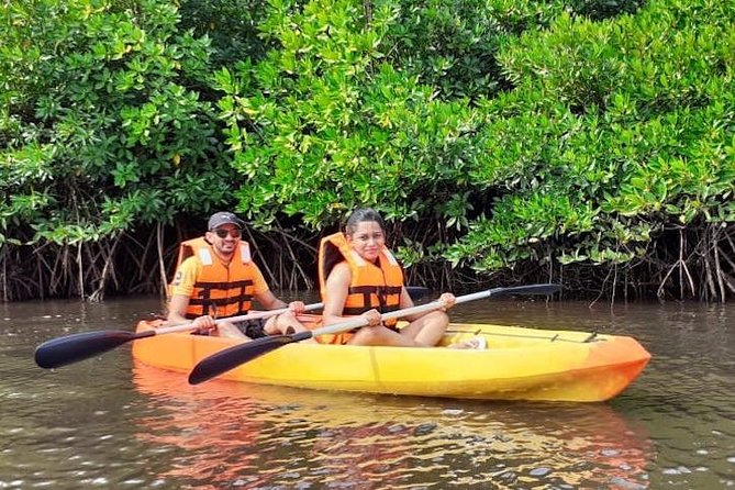 Kayaking Mangrove Adventure at Havelock