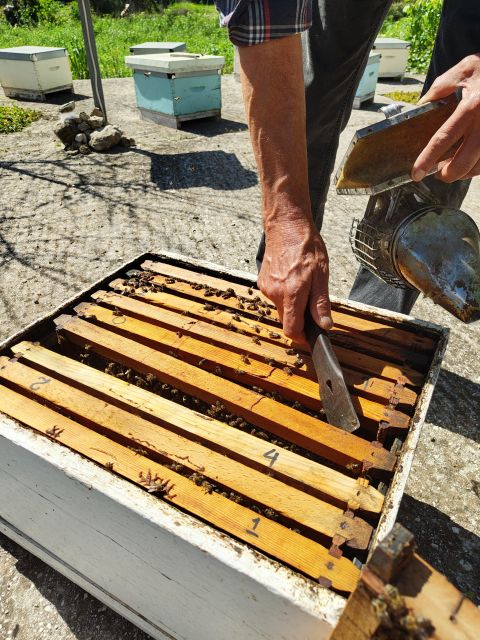 Kefalonia Honey Tour on E-Bikes