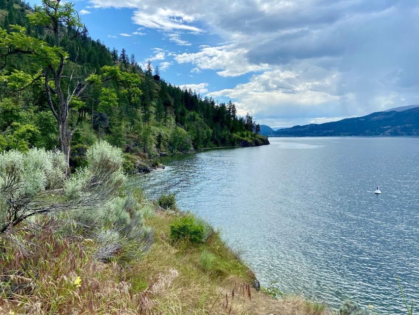 Kelowna: Okanagan Lake Guided E-Bike Tour With Picnic