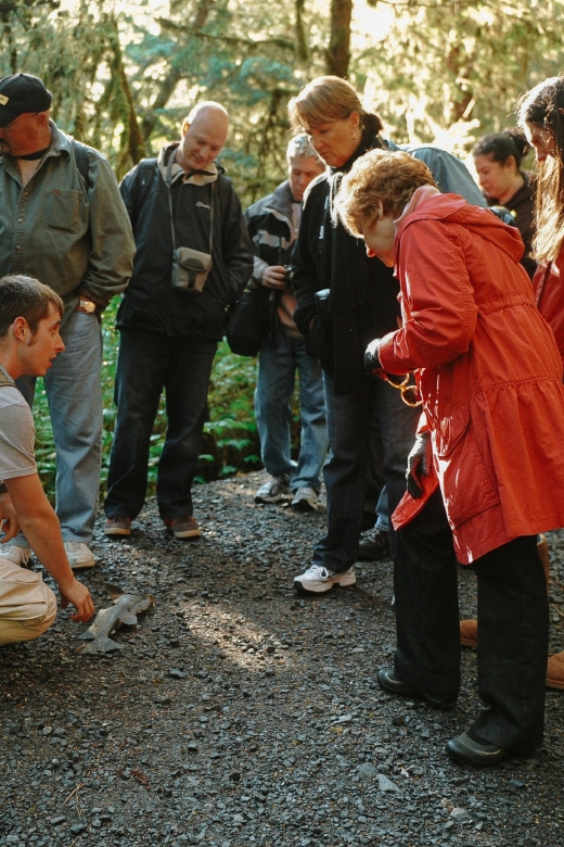 Ketchikan: Rainforest Wildlife Sanctuary & Totem Park