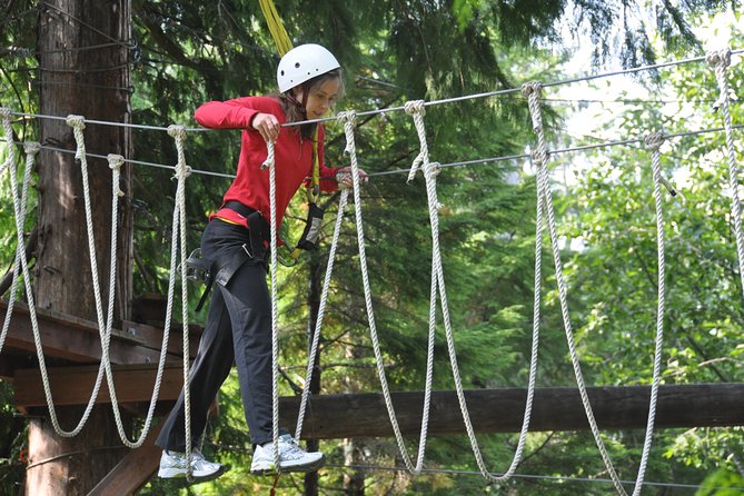 Ketchikan Shore Excursion: Rainforest Canopy Ropes and Zipline Adventure Park