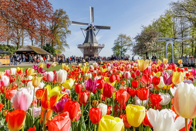 Keukenhof Gardens & Tulip Experience Guided Tour From Amsterdam - Highlights of the Guided Experience