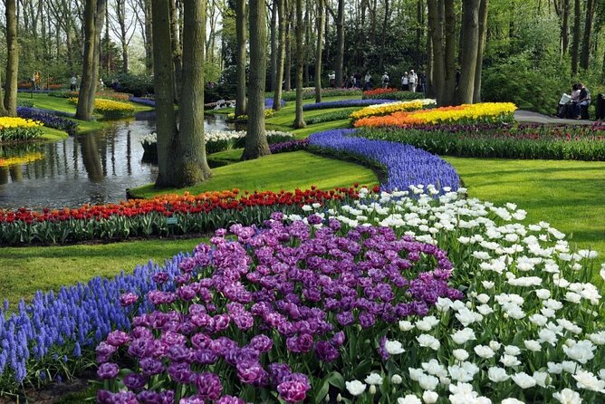 Keukenhof Ticket With Roundtrip Shuttle Bus From Amsterdam