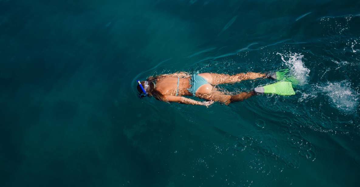 Key West: 3-Hour Afternoon Reef Snorkel With Drinks