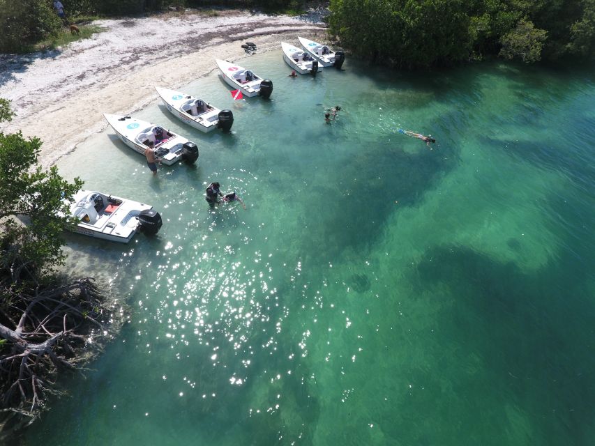 Key West: Eco Safari Sandbar Tour With Snorkeling