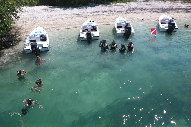 Key West Safari Eco Sandbar Tour Adventure With Snorkeling