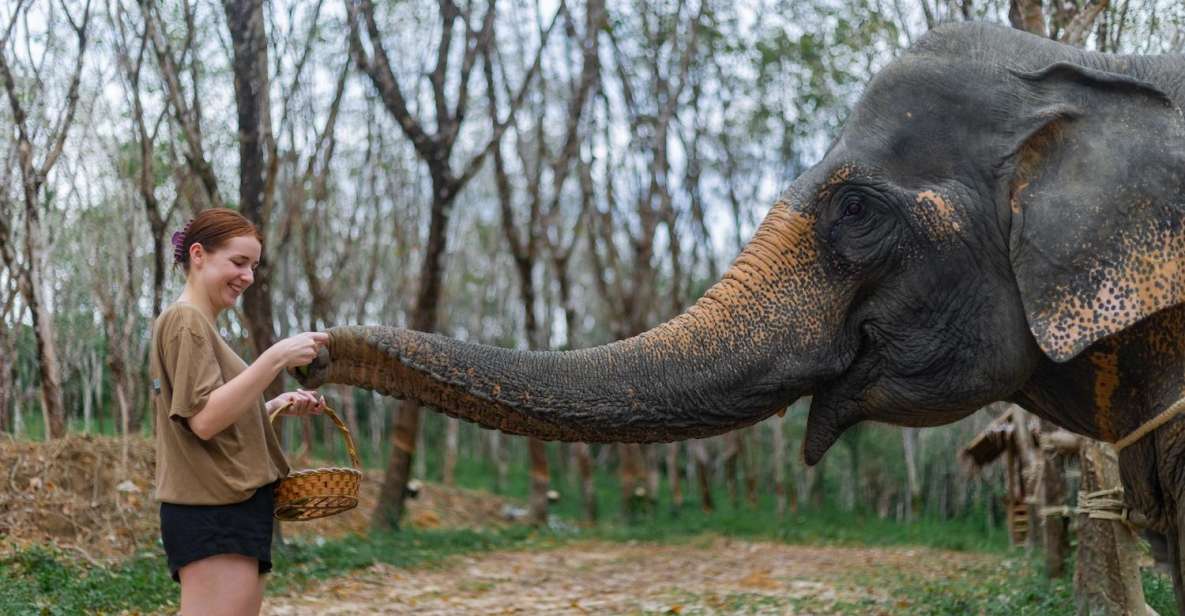 Khao Lak: 1-Hour Elephant Sanctuary Eco-Journey With Shuttle