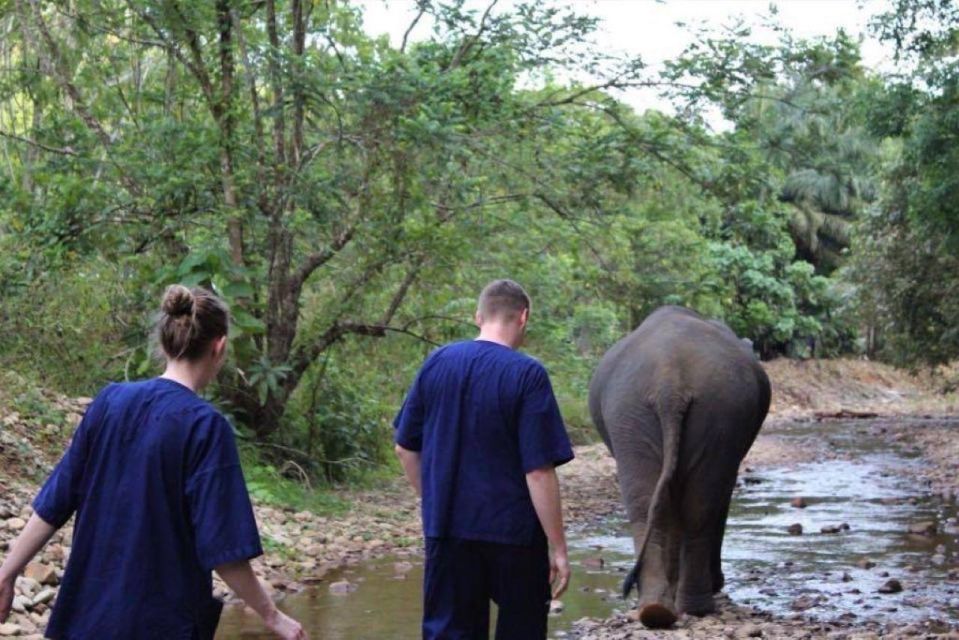 Khao Lak: Unique Dusk Ethical Elephant Sanctuary Experience