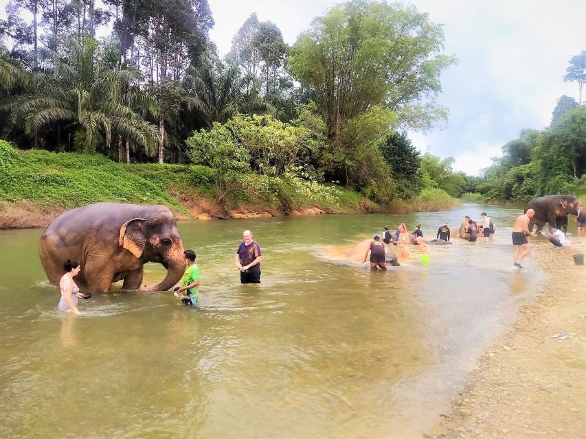 Khao Sok: Elephant Rescue Center With Lunch & Bamboo Rafting