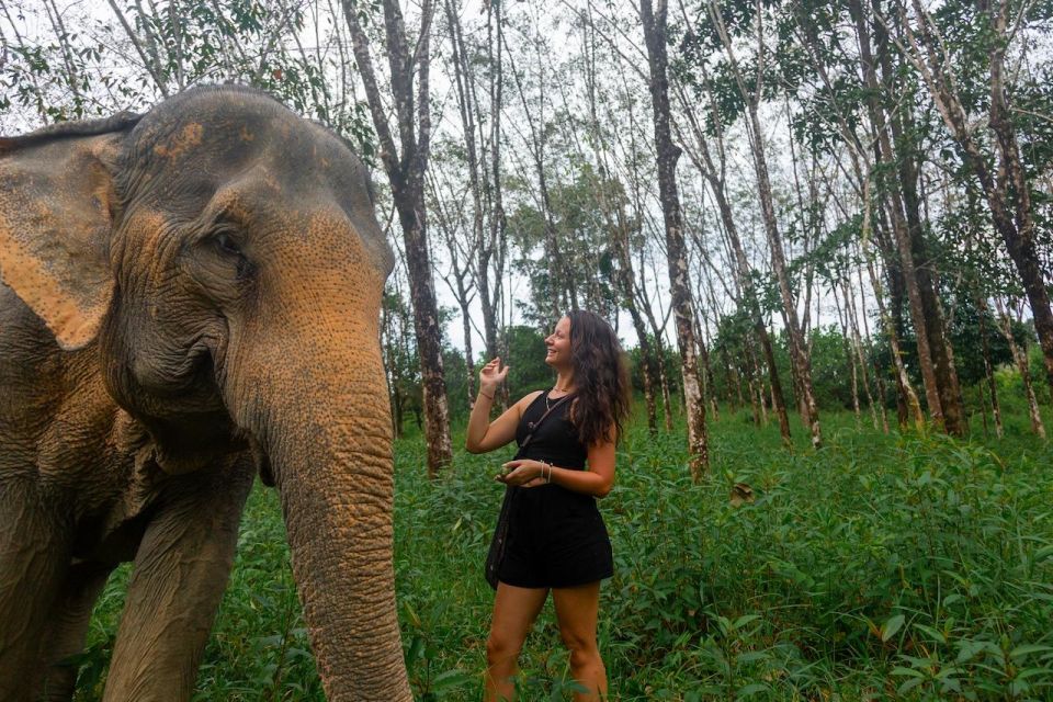 Khaolak: Begin the Day With Elephants – Walk and Feed Tour