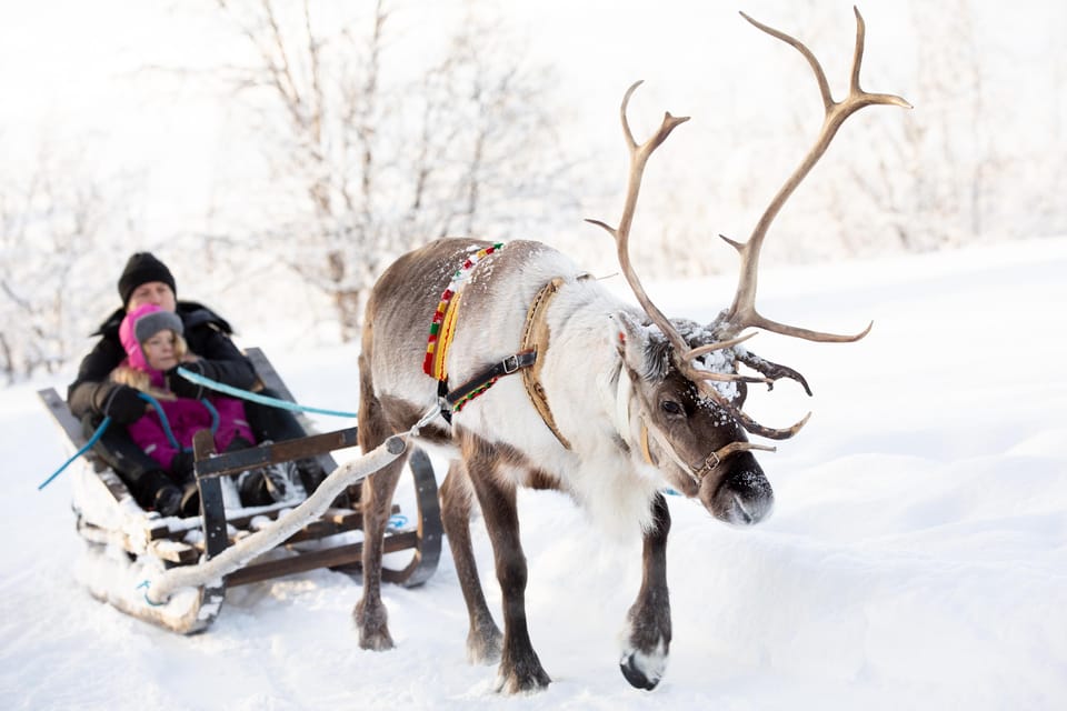 KIRUNA: Sami Reindeer Experience