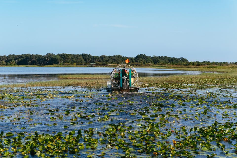 Kissimmee: 1-Hour Airboat Everglades Adventure Tour - Overview of the Tour