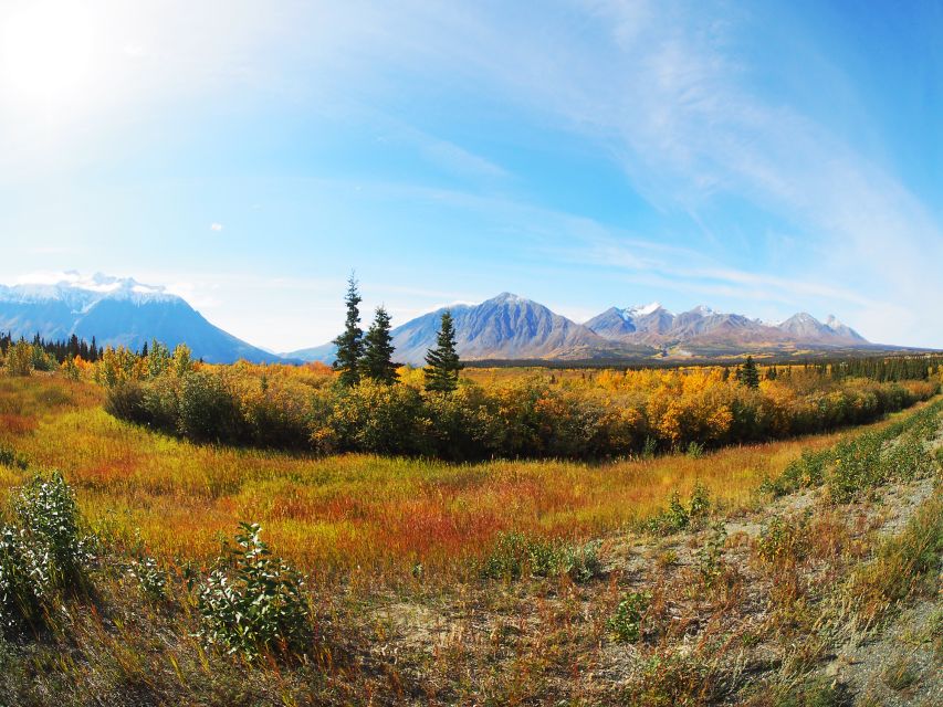 Kluane National Park: Full Day Tour