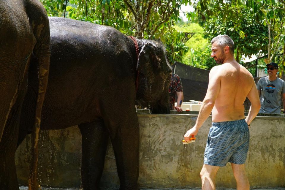 Koh Samui: Half-Day Ethical Elephant Sanctuary With Mud Spa