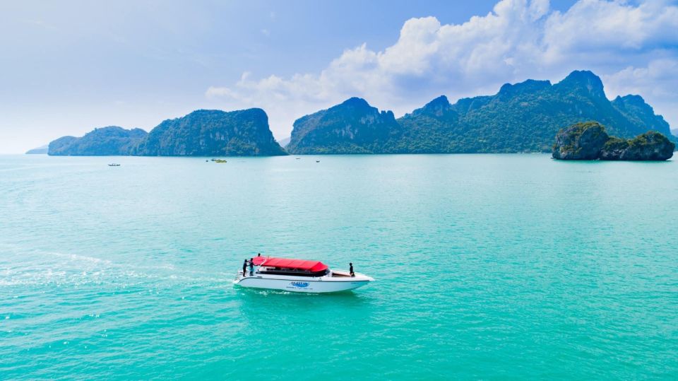 Koh Samui: Pink Dolphin Spotting & Pig Island Speedboat Tour