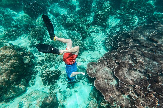 Koh Tao VIP Snorkelling Tour