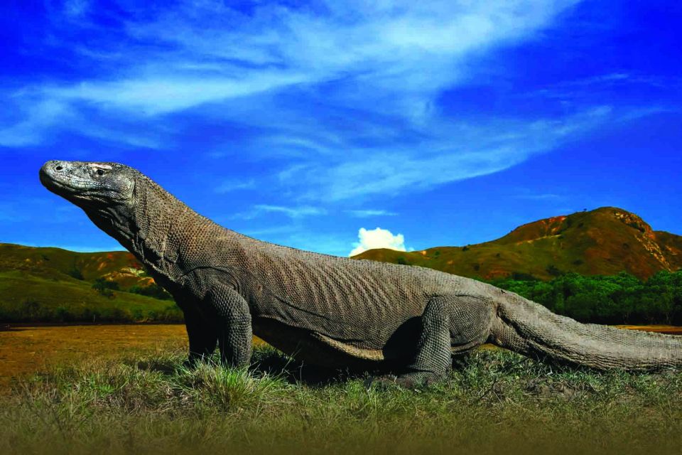 Komodo Islands: Private 2-Day Tour on a Wooden Boat - Tour Details