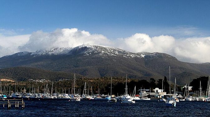 Kunanyi/Mt Wellington Tour & Hobart Hop-On Hop-Off Bus