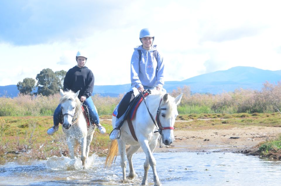 Kusadasi: Beach and Forest Horse Riding Tour