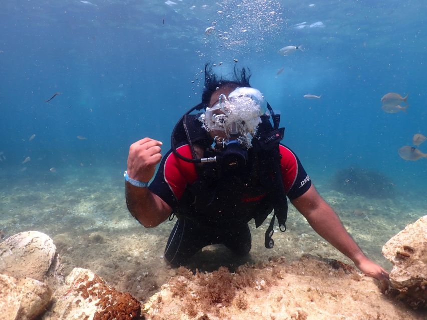 Kusadasi Scuba Diving