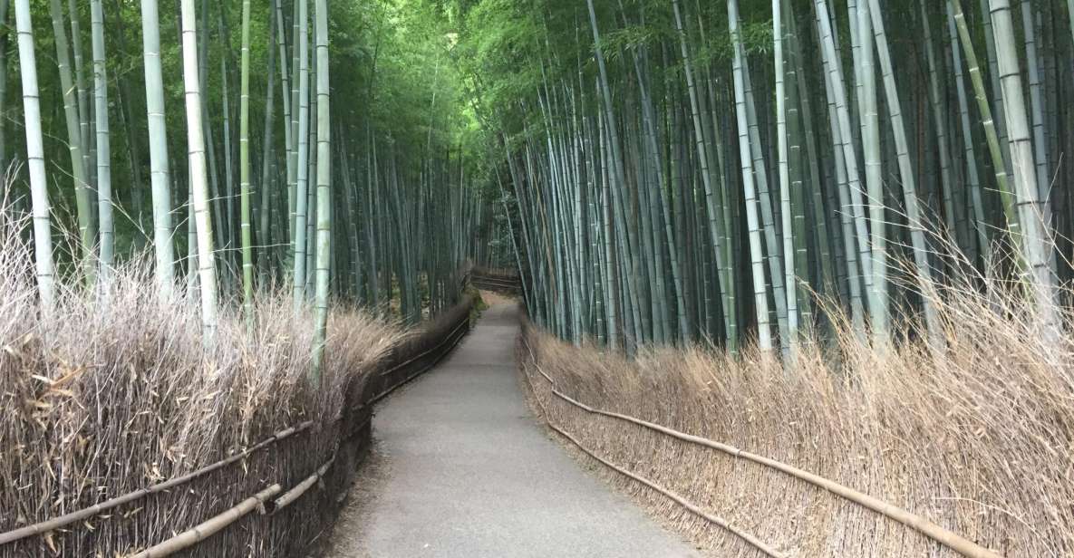 Kyoto, Arashiyama: Bamboo Grove Half-Day Private Guided Tour