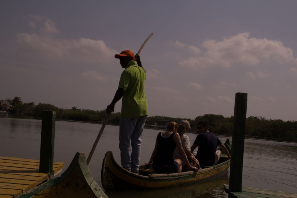 La Boquilla: 3-Hour Canoe Tour Through the Mangroves