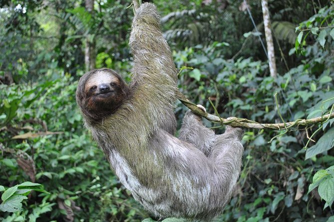 La Fortuna Waterfall, Hanging Bridges, Arenal Volcano Combo Tour