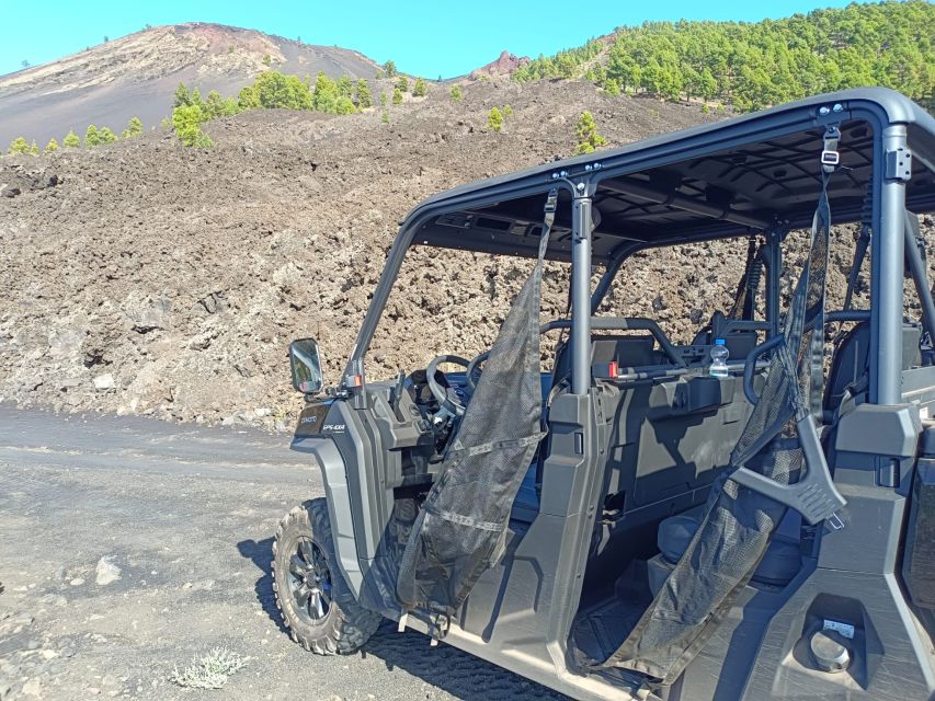 La Palma: Volcano Route Buggy Tour