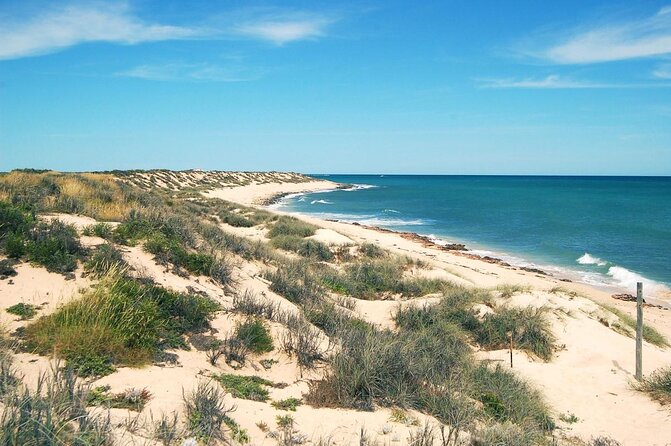 Lagoon Explorer – Ningaloo Reef Full-Day Kayaking and Snorkeling Adventure