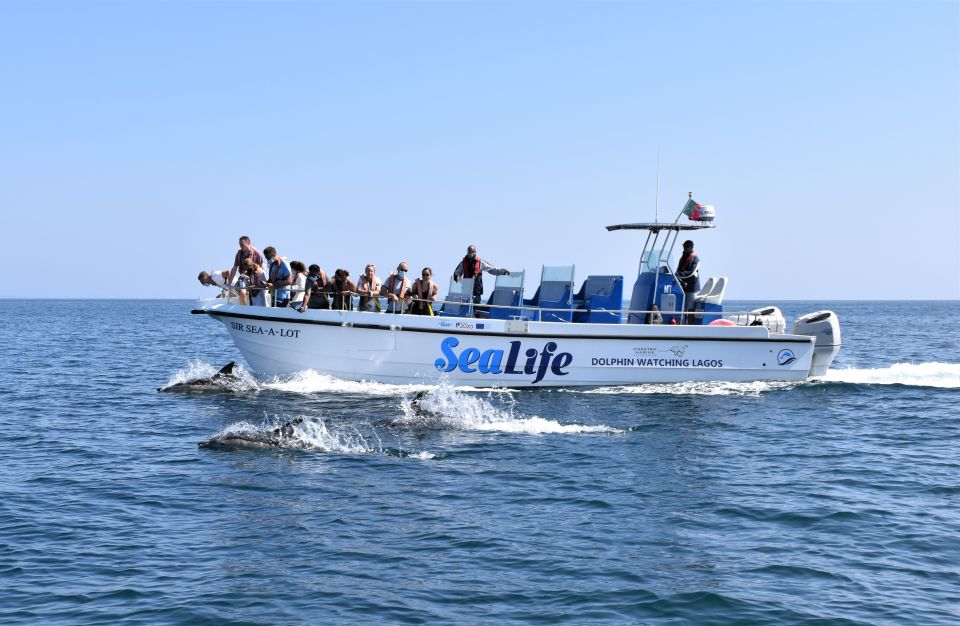 Lagos: Dolphin Watching Boat Tour With Marine Biologists