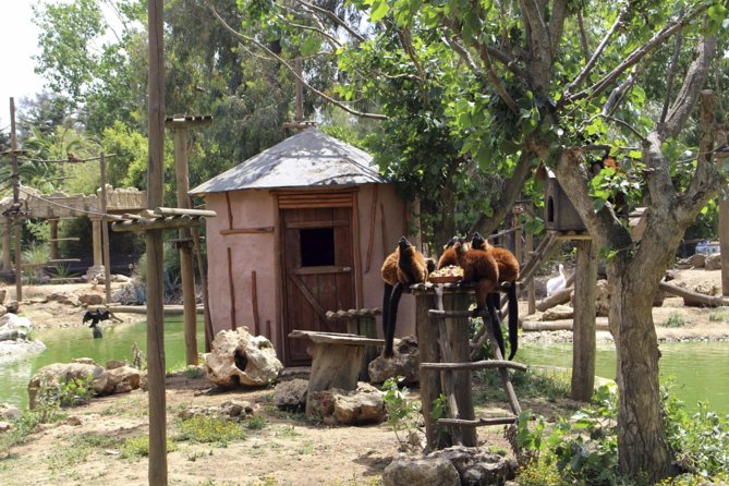 Lagos Zoo Admission Ticket - Visitor Experience Highlights