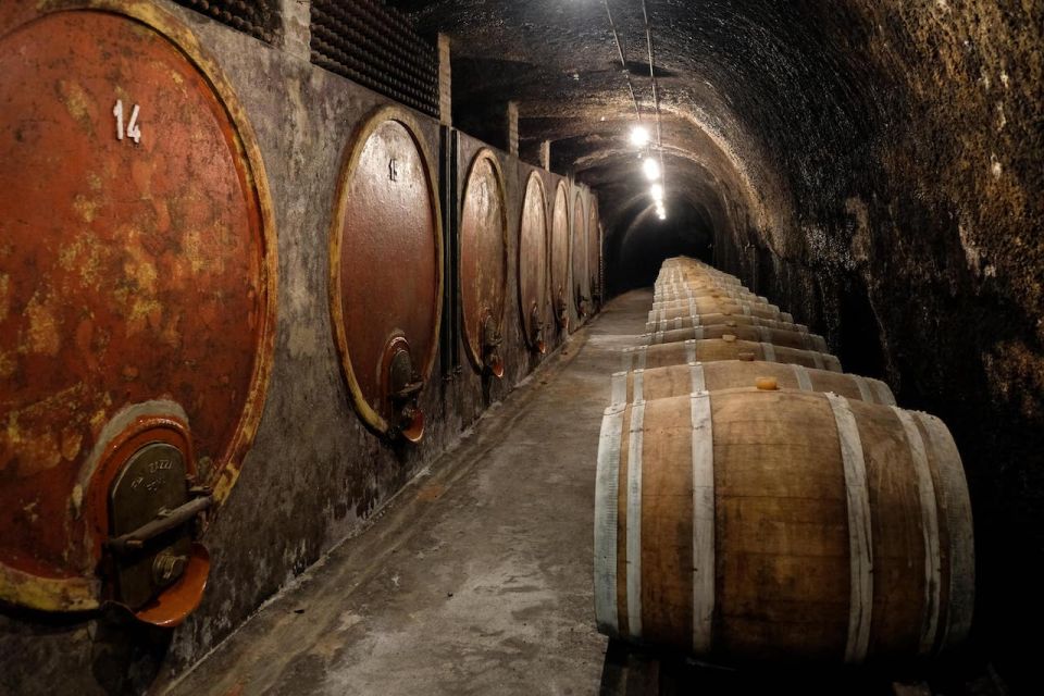 Lake of Bolsena: Private Cellar Tour and Wine Tasting