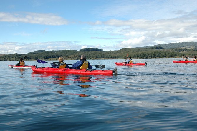 Lake Rotoiti Guided Hot Pools Kayak Trip