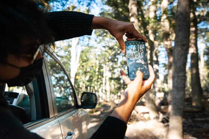 Lakes off Road