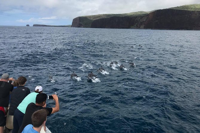 Lanai Snorkel and Dolphin Watch From Maalaea - Overview of the Tour