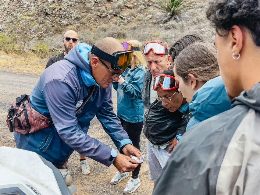 Lanzarote: Guided Off-Road Volcano Buggy Tour