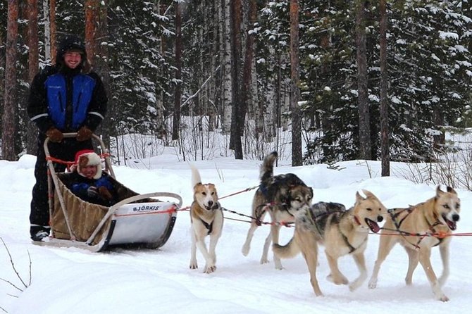 Lapland Reindeer and Husky Safari From Levi - Overview of the Safari Experience