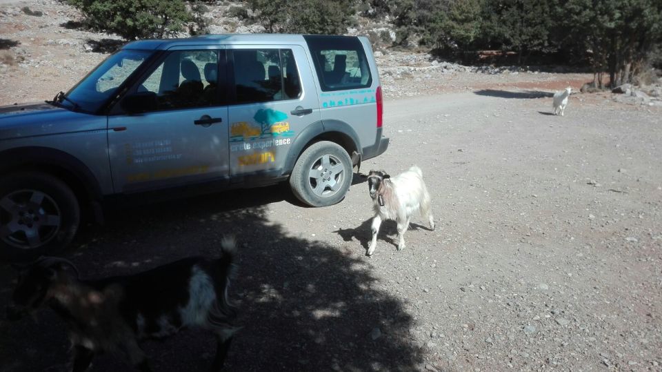 Lasithi Area: Cretan Culture & Nature Tour