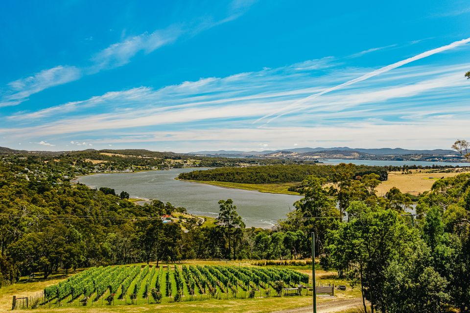 Launceston: Tamar Valley Wine Tour With Lunch - Tour Details