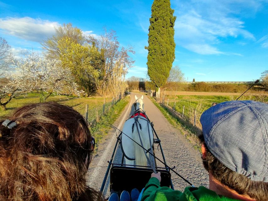 Lazise: Horse Carriage Tour With Tasting of Local Products