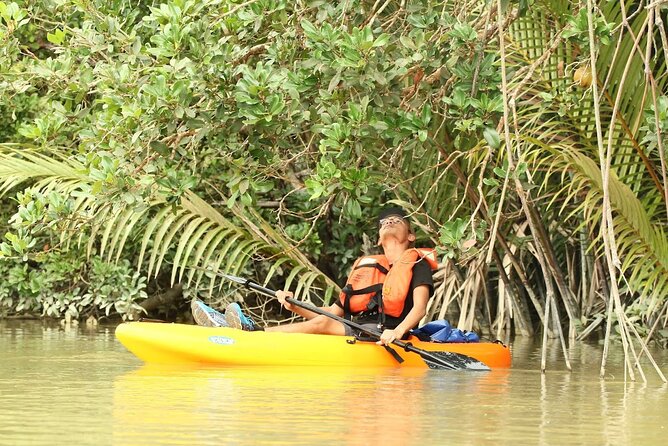 Lebam River Kayaking Adventure