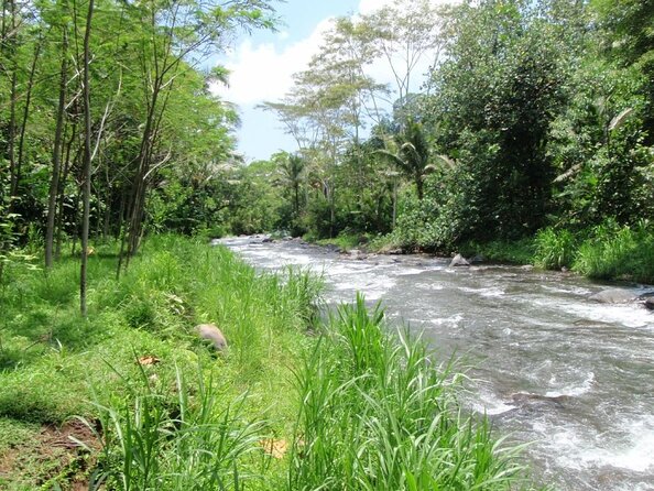 (Less Stairs) Bali Telaga Waja Rafting & Zipline - Lunch, Transfer - Activities Included in the Tour