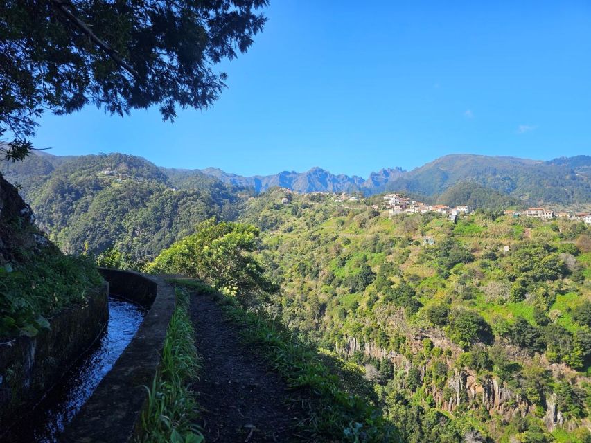 Levada Do Castelejo- Guided Tour by Overland Madeira